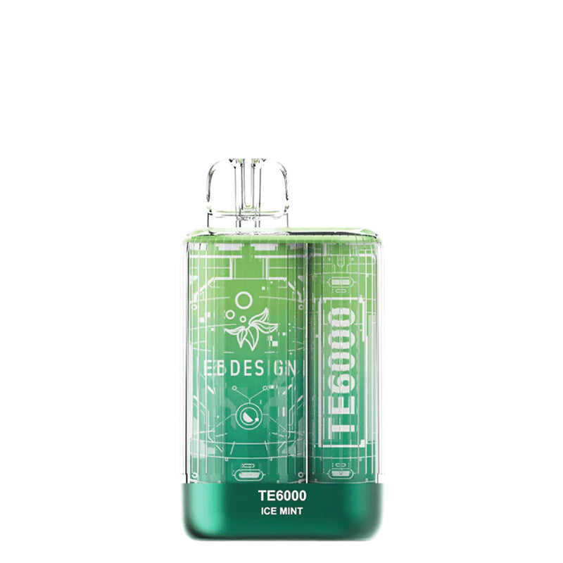 Ice Mint EB TE6000 Disposable - Vaper Corner